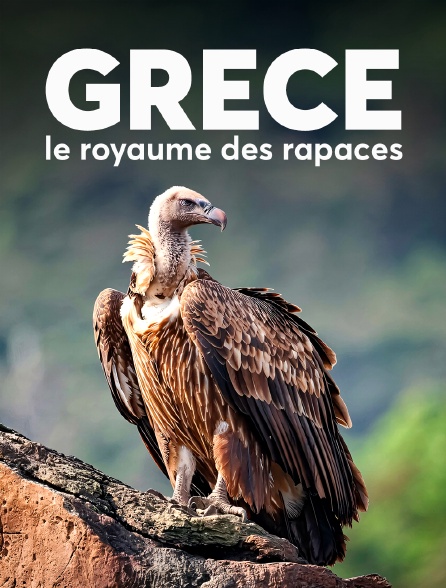 Grèce, le royaume des rapaces