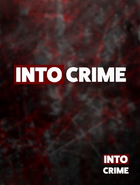 Into Crime - Témoignages d'Expert