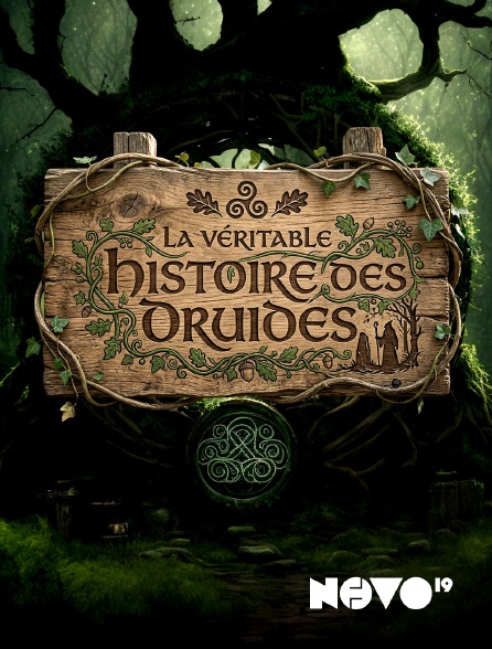 NOVO19 - La véritable histoire des druides
