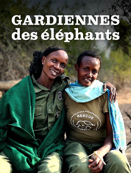 Kenya, gardiennes des éléphants