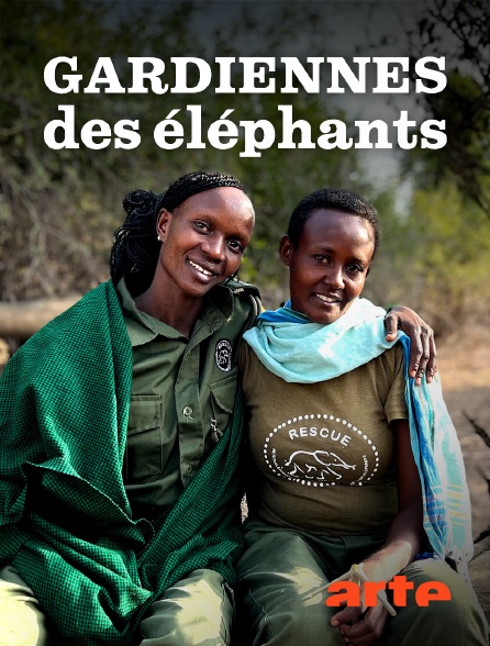 Arte - Kenya, gardiennes des éléphants