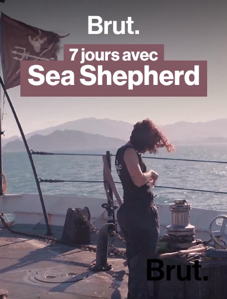 Brut - Il n'en resterait que 6 : la course pour sauver les vaquitas des braconniers en replay