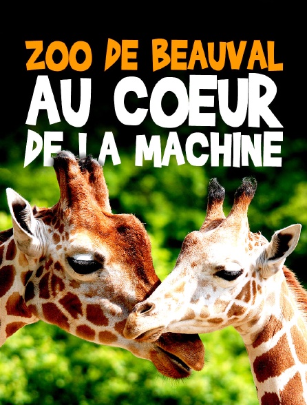 ZooParc de Beauval : au coeur de la machine