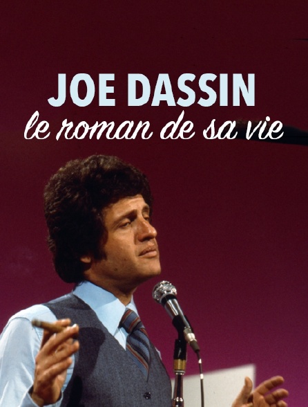 Joe Dassin : le roman de sa vie