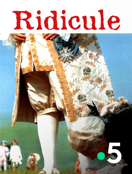 France 5 - Ridicule