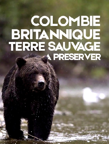 Colombie Britannique, terre sauvage à préserver