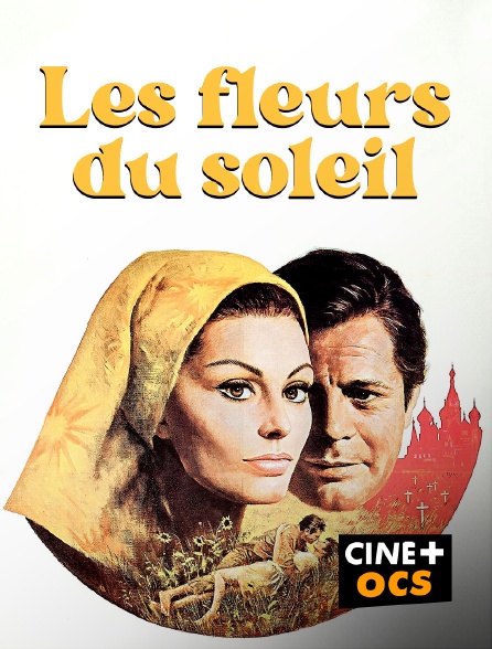 CINÉ Cinéma - Les fleurs du soleil