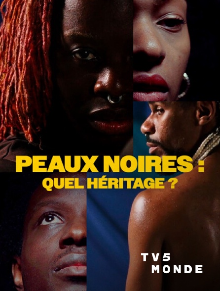 TV5MONDE - Peaux noires : quel héritage?