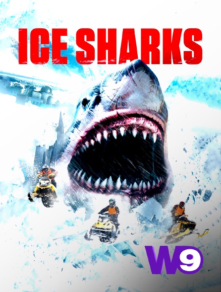 W9 - Ice Sharks