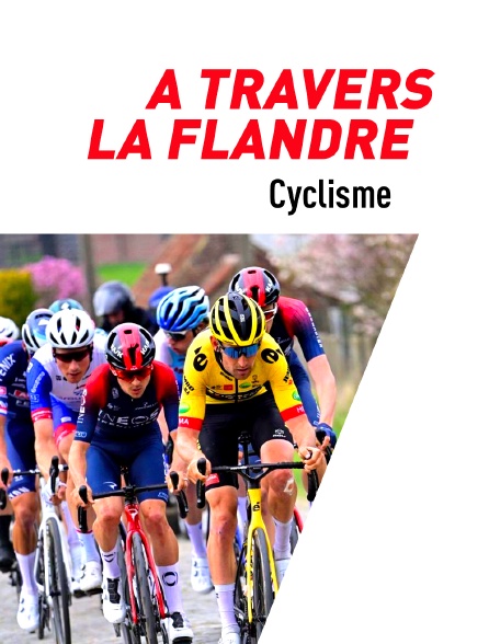 Cyclisme : A travers la Flandre