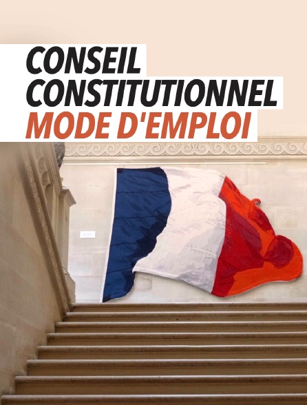 Conseil constitutionnel, mode d'emploi