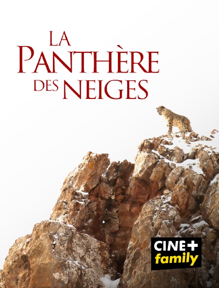 CINE+ Family - La panthère des neiges