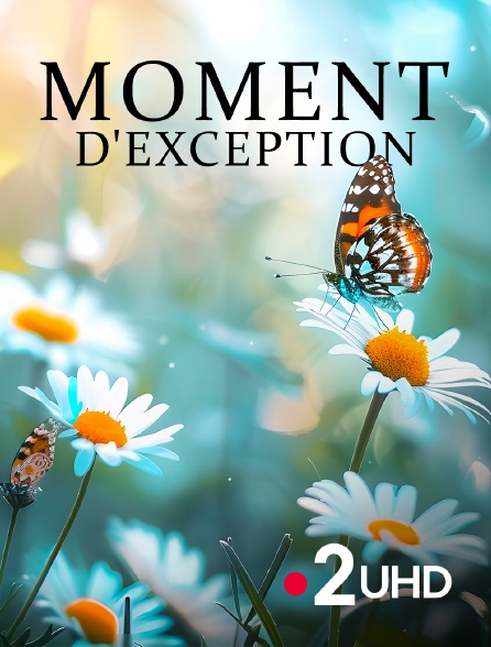 France 2 UHD - Moment d'exception