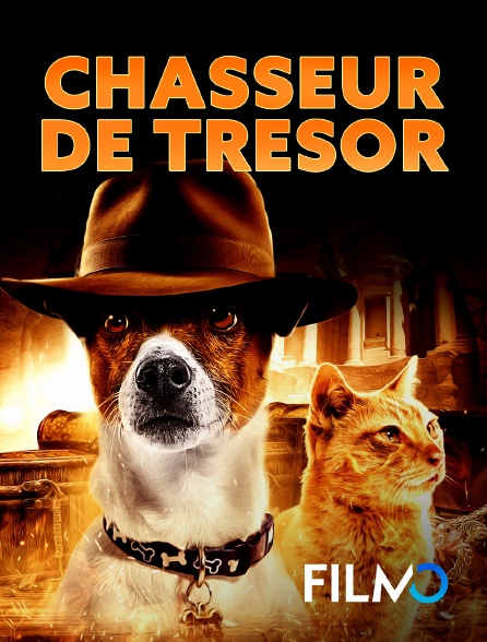 FilmoTV - Chasseur de Trésor