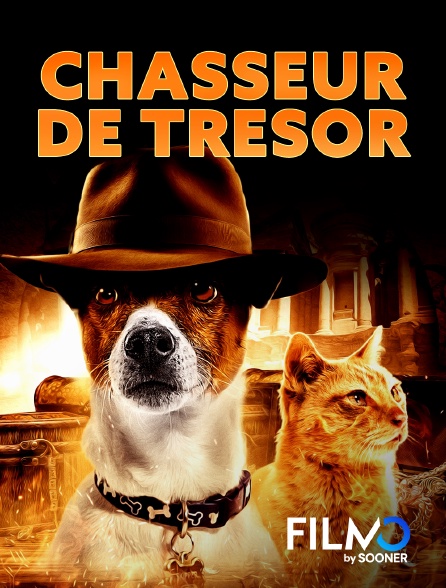 FilmoTV - Chasseur de Trésor
