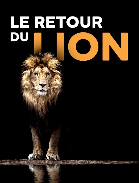 Le retour du lion