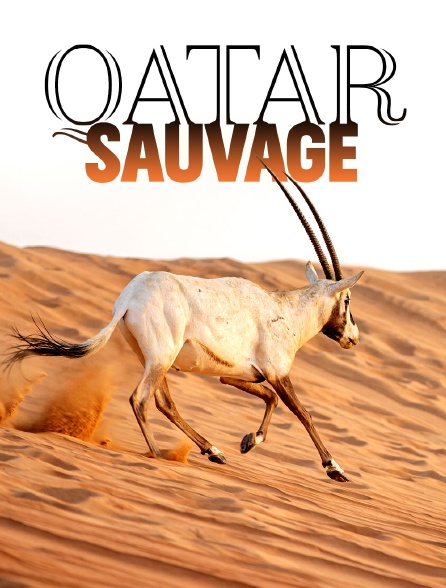 Le Qatar sauvage