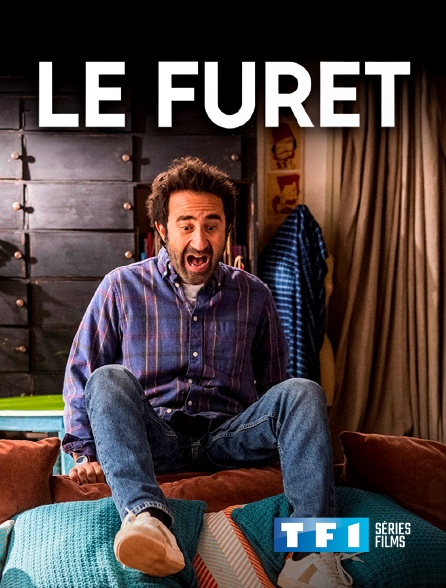 TF1 Séries Films - Le furet