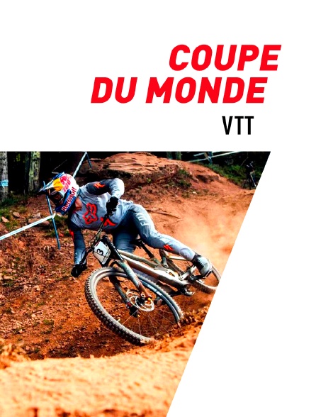 VTT : Coupe du monde