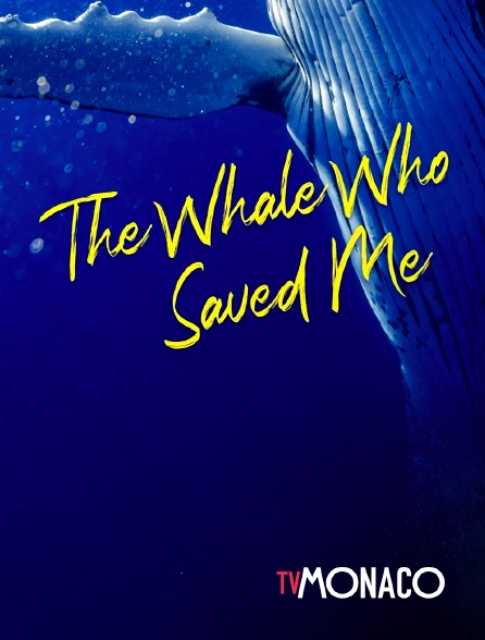 TV Monaco - The whale who saved me