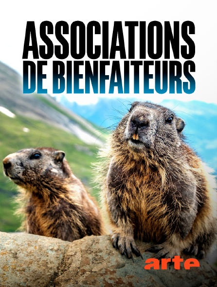 Arte - Associations de bienfaiteurs
