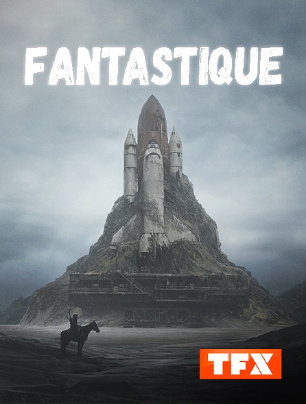TFX - Les Chevaliers du Zodiaque
