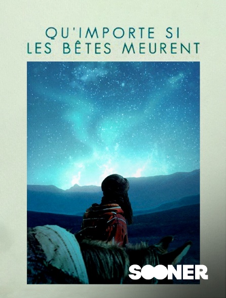 Sooner - Qu'importe si les bêtes meurent