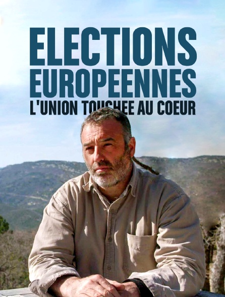 Elections européennes : l'Union touchée au coeur