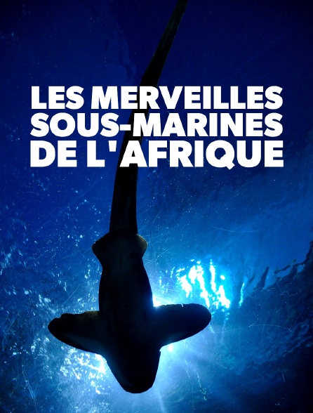 Les merveilles sous-marines de l'Afrique