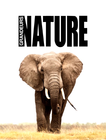 Afrique sauvage
