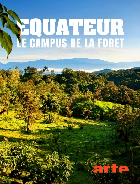 Arte - Equateur, le campus de la forêt