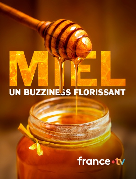 france.tv - Miel : un buzziness florissant