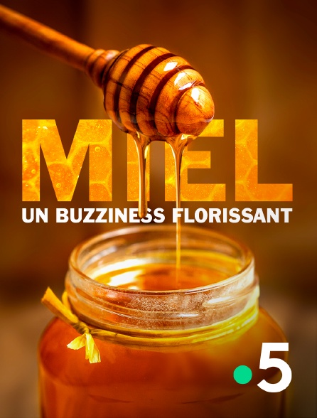 France 5 - Miel : un buzziness florissant