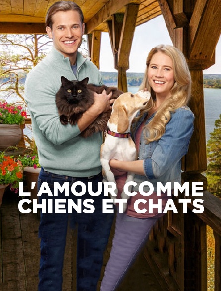 L'amour comme chiens et chats