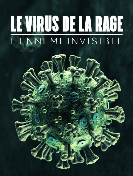 Le virus de la rage, l'ennemi invisible