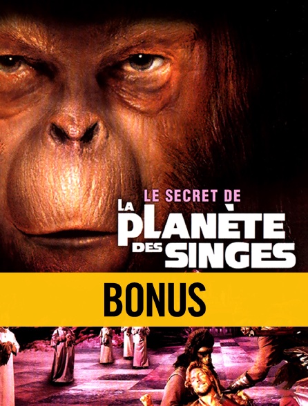 Le secret de la planète des singes, le bonus