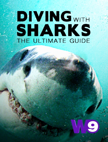 W9 - Diving with sharks : the ultimate guide