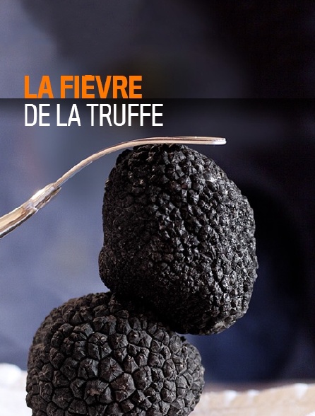 LA FIEVRE DE LA TRUFFE