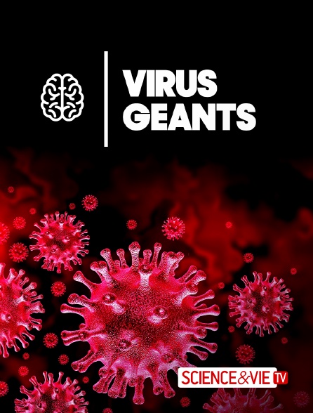 Science et Vie TV - Virus géants
