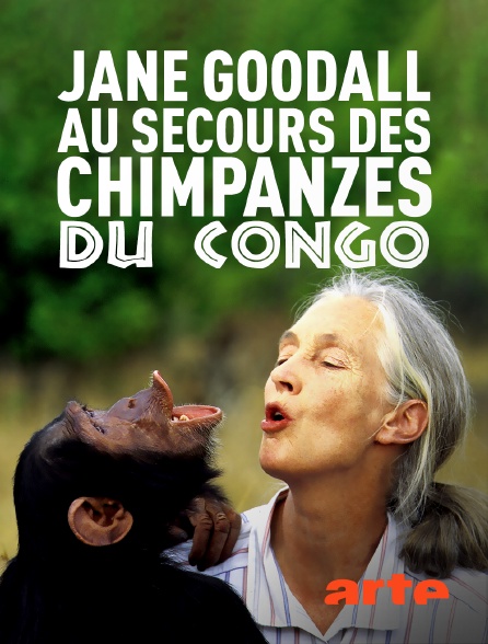 Arte - Jane Goodall au secours des chimpanzés du Congo