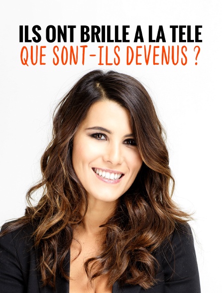 Ils ont brillé à la télé : que sont-Ils devenus ?