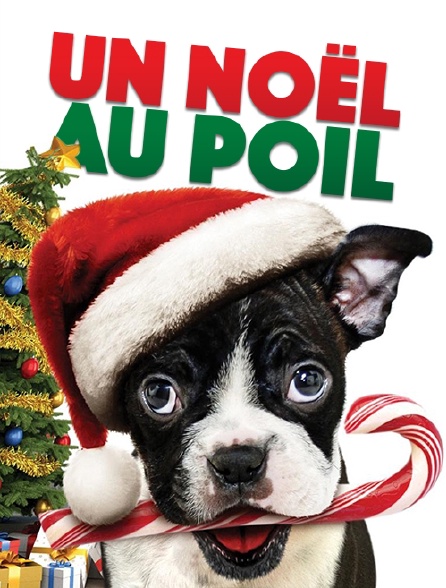 Seul pour Noël