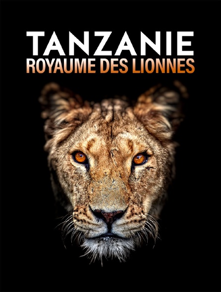 Tanzanie, royaume des lionnes