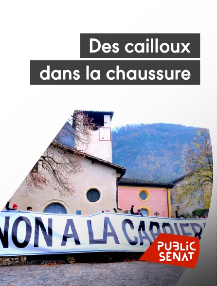 Public Sénat - Des cailloux dans la chaussure