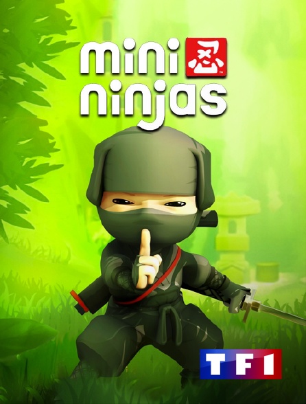 TF1 - Mini ninjas