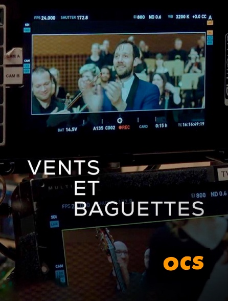 OCS - Vents et baguettes