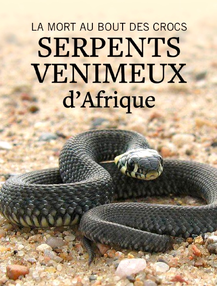 La mort au bout des crocs : Serpents venimeux d'Afrique