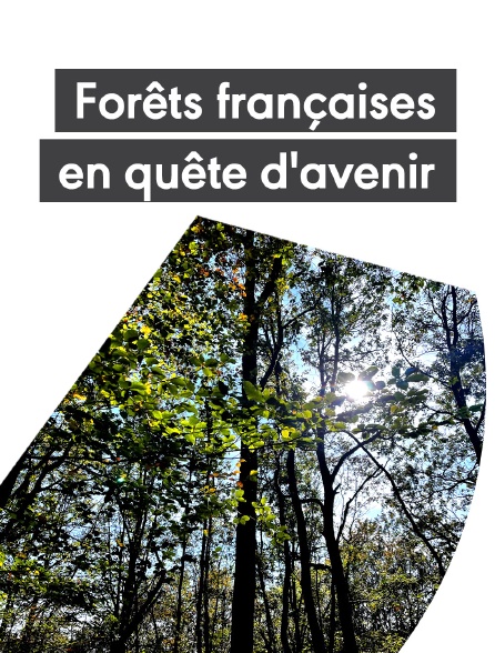 Forêts françaises, en quête d'avenir