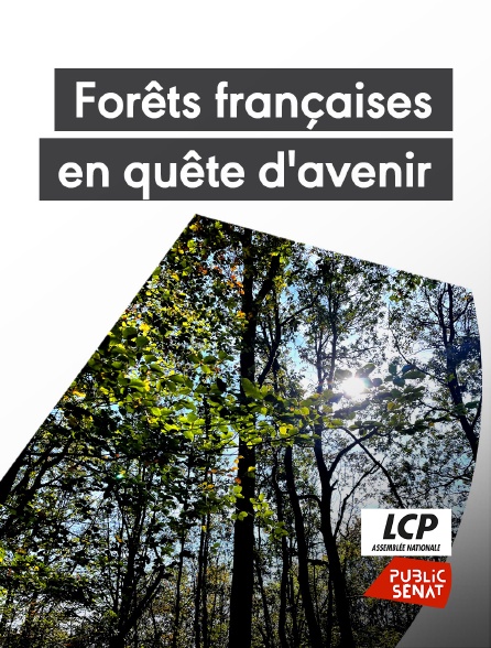 LCP Public Sénat - Forêts françaises, en quête d'avenir