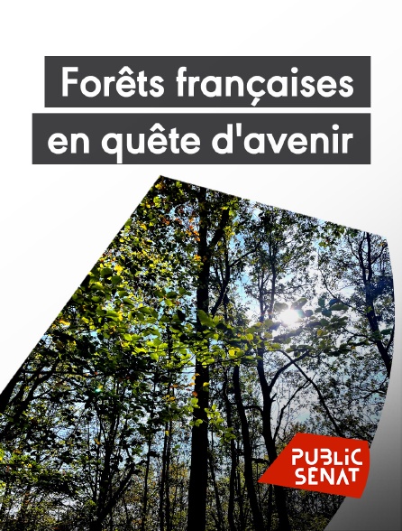 Public Sénat - Forêts françaises, en quête d'avenir